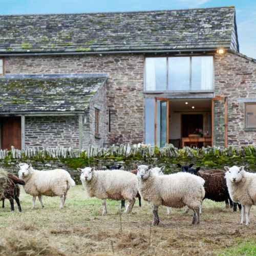 safari tents hay on wye