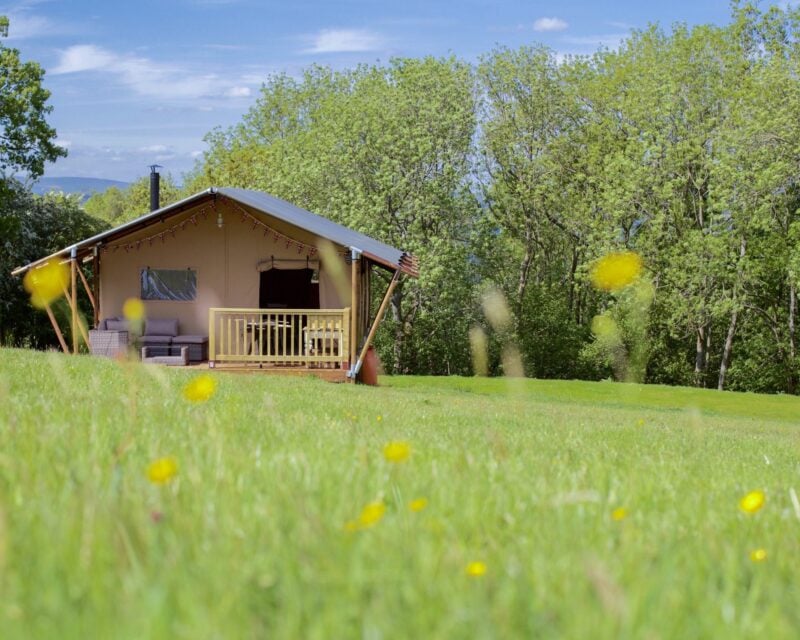 Safari tent glamping accommodation for guests at Drovers Rest